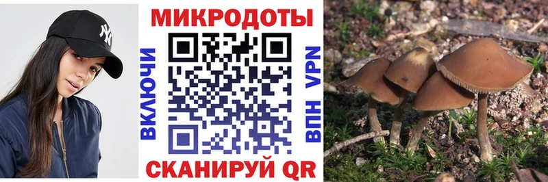 блэк спрут вход  Верещагино  Псилоцибиновые грибы GOLDEN TEACHER 